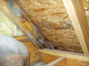 Mississauga Attic Mold Removal