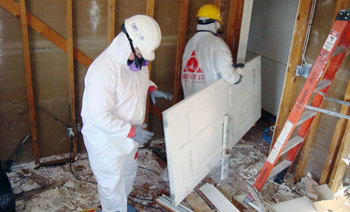 Brampton Mold Removal Technicians