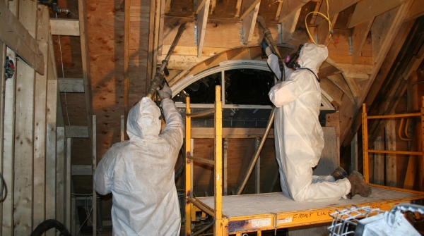 Free Mold Removal Quote in Brampton